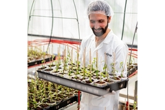 Image A scientist wearing a lab coat and holding a tray of vanilla plants.