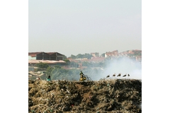Image People at a Dump Site Holding Posters