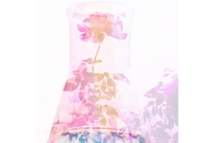 Image Flower in glass jar