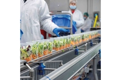 Image Production of salad shakers.