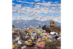 packaging in landfill