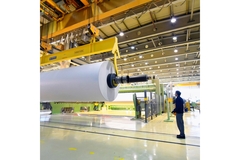 Image Paper factory: production of paper rolls for the printing paper rolls in a factory