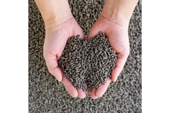 Holding pellets in hands.