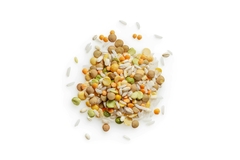 KeyGene and Bean Meal