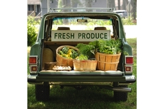 A van with a bunch of vegetables in the trunk