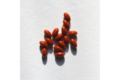 Image Vitamin K2 MK-7