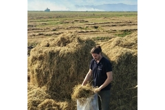 Image aimplas employee analysing agricultural hay
