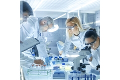 Group of researchers looking at lactoferrin's ability to increase hemoglobin levels.