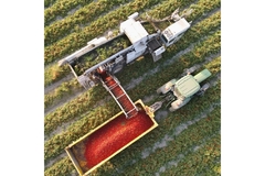 Image A vehicle is working on a tomato field.