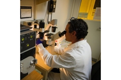 Researcher looking into microscope.