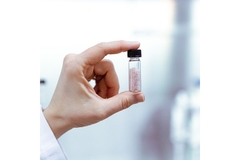 LF+ precision fermentation  lactoferrin