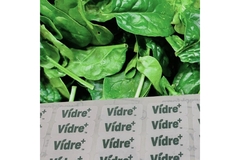 Image The stickers are lined up in front of a bunch of spinach.