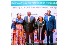 Image African Union round table on malnutrition
