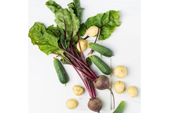 Image Organic farmed vegetables