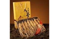 Image ginseng root for sporrts nutition