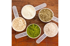 Image Five scoops of different protein powders, plant-based and whey.