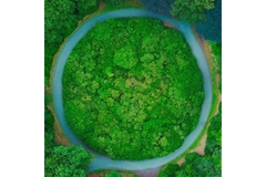 Image A road is built in a green forest.