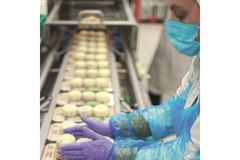 Image Packing cheese on production line.