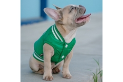 Image Bulldog catching the breeze