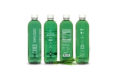 Chlorophyll Water.