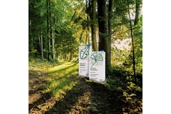 Image SIG Carton packs without aluminum layer banner in a sunny forest