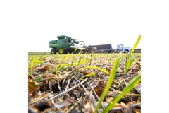 Image A green field with a tractor in the background.