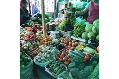 food market in mongolia