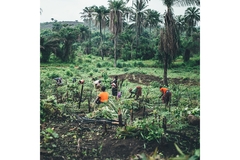 Smallholder farmers in Africa.