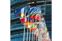 Image EU Parliament SNE manifesto