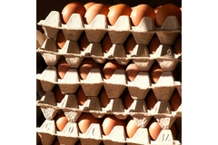 Image Cartons of eggs are placed one on top of the other.