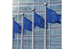EU flags are flying in the air.