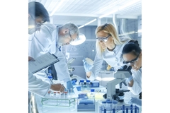 Four researchers in a lab evaluating the effect of synbiotics.
