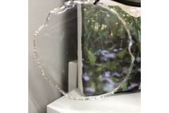 Image transparent film developed by Feng Li and his team at Hokkaido University