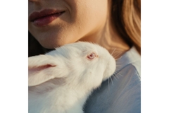 Image Face of rabbit resting on womans shoulder