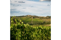 Image Farming fields in Tuscany, Italy.