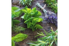 Multiple herbal extract composition