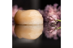 Image A piece of seafood substitute made from fermentation kept next to a pink flower.