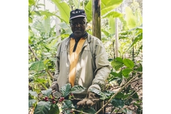 A coffee farmer in Congo standing near coffee plants.