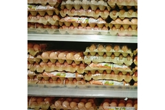 Image brown and white eggs in plastic packs on a supermarket shelf