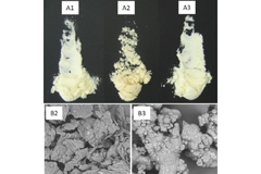 Image Milk powders for scientific analysis
