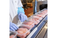 Poultry factory packing line.