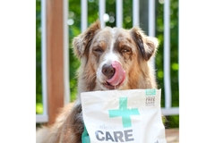 Image Dog and pet food.