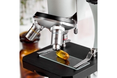 Supplement under microscope