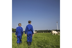 Image Two men in blue jumpsuits with their back facing the camera standing in a cow farm.
