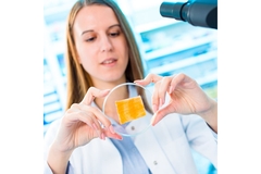 Image Plant-based food technology