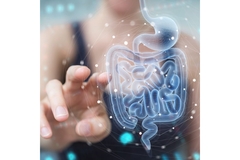 A person touches a screen with a picture of human intestines on it.