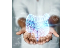 Image Holographic representation of the microbiome