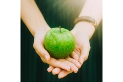 Image Apple phenols