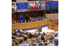 Image European Parliament voting on new rules on honey and breakfast foods.