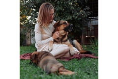 Image A woman and her dog companions